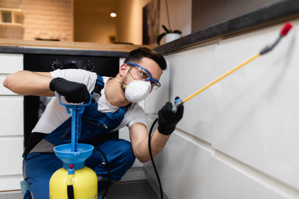 Best Flea Control Services  in Mooreville, MS