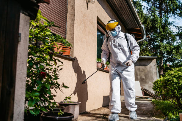 Professional Pest Control in Mooreville, MS