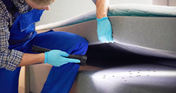 Best Exterminator Services  in Mooreville, MS