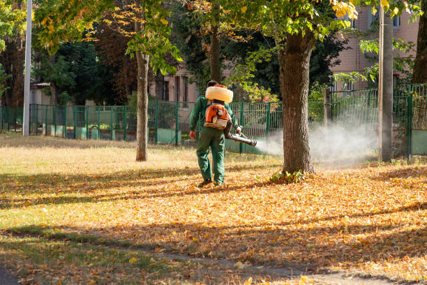 Best Emergency Pest Control  in Mooreville, MS
