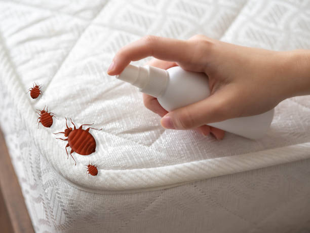 Best Pest Removal Services  in Mooreville, MS