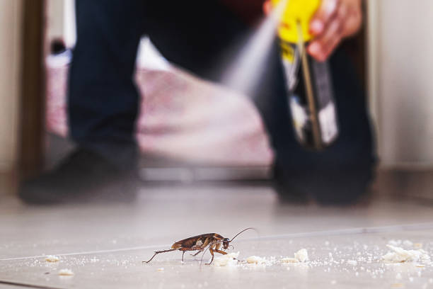 Best Mosquito Control Services  in Mooreville, MS