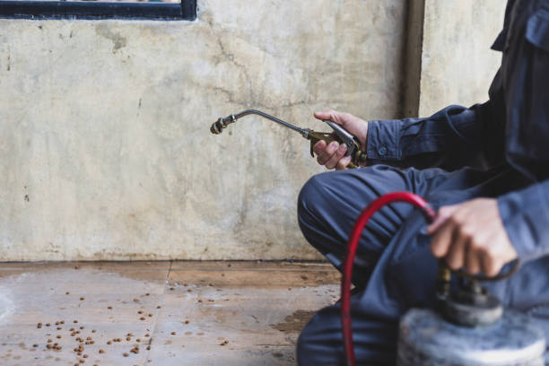 Best Pest Control Near Me  in Mooreville, MS
